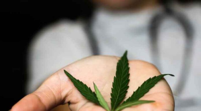 Produits CBD : pourquoi faire le choix de la résine ? Produits CBD : pourquoi faire le choix de la résine ?
